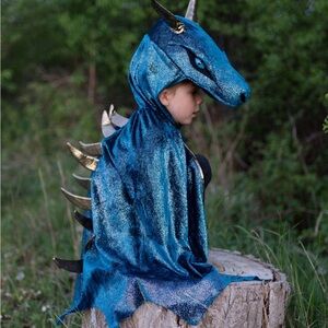 Blue Dragon Kids Costume